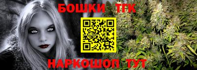 индика Обнинск
