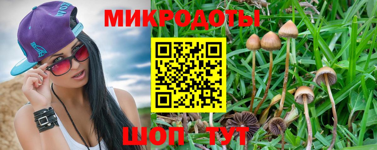 Элиста  Галлюциногенные грибы Cubensis  Вход с VPN  Псилоцибиновые грибы прущие грибы 