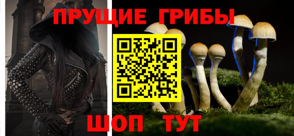 Псилоцибиновые грибы Cubensis Элиста